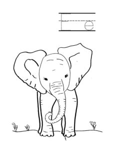 a is for alligator e