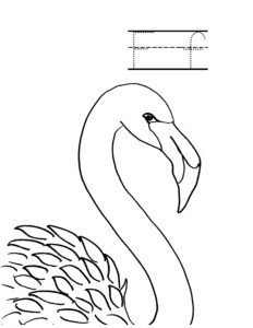 a is for alligator f