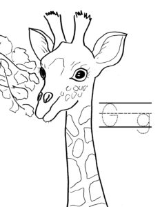 a is for alligator g