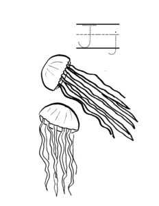 a is for alligator j