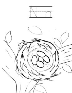 a is for alligator n