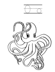 a is for alligator o