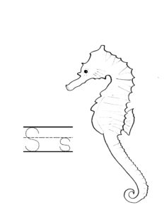a is for alligator s