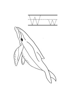 a is for alligator w