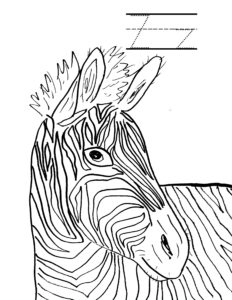 a is for alligator z